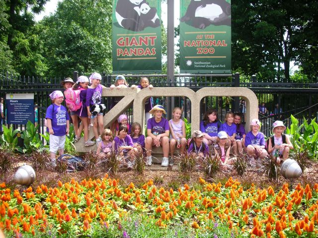 Girl Scouts at the Zoo